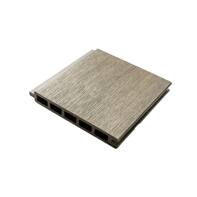 边界的时尚耐腐蚀的WPC联合围栏委员会